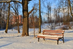«Марфинский»_25_desc